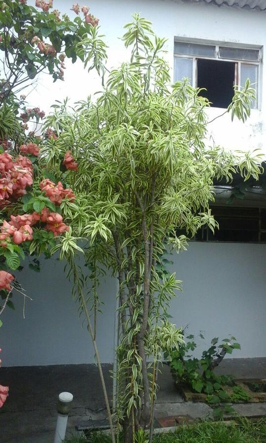Pousada Ana Poipa Goiania Exterior photo